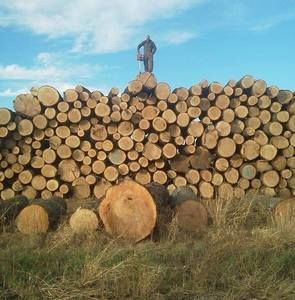 Meet your Posher, Jayson